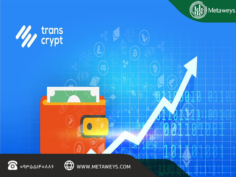 معنی Withdraw در صرافی چیست؟ راهنمای جامع برداشت در صرافی